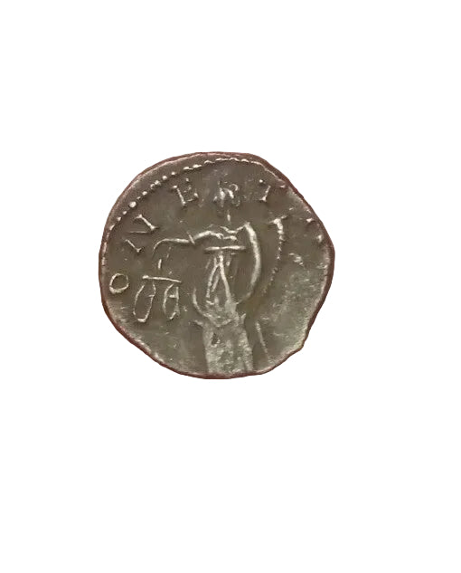 50021240