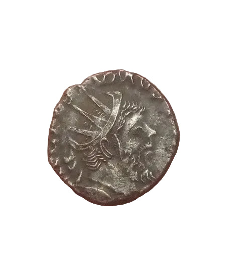 50021240