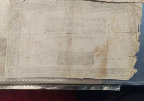 50021861